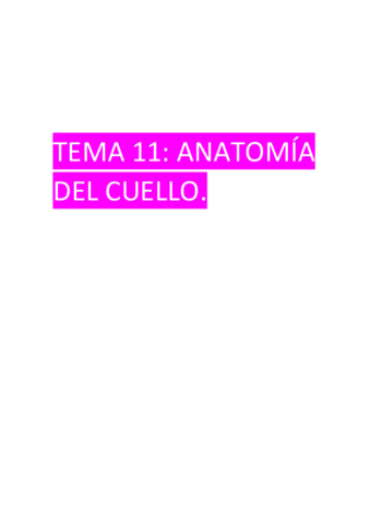 Tema-11-Anatomia-del-cuello.pdf