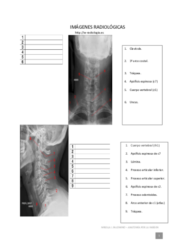 imagenes-resueltas-examen-2-Anatomia.pdf