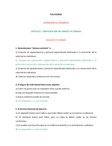 Solucion-Atencion-al-pciente.pdf
