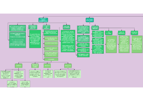 PROTOCOLO-DE-APLICACION-PARA-LA-PREVENCION-Y-PROTECCION-DE-ENFERMEDADES-INFECCIOSAS-2.pdf