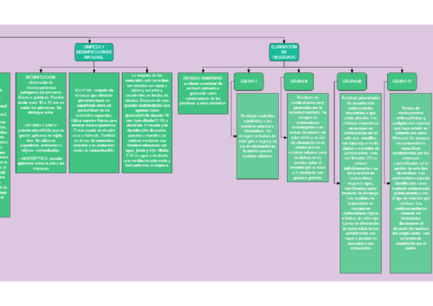 PROTOCOLO-DE-APLICACION-PARA-LA-PREVENCION-Y-PROTECCION-DE-ENFERMEDADES-INFECCIOSAS-4.pdf