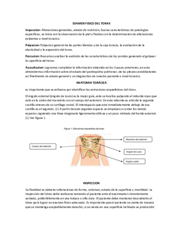 Examen-fisico-de-torax.pdf