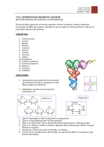 HOJA-2-GLUCIDOS.pdf