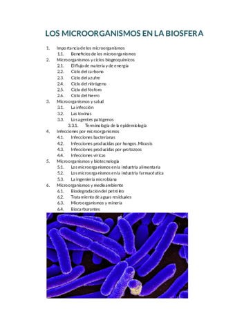 Tema-19-Los-microorganismos-en-la-biosfera.pdf