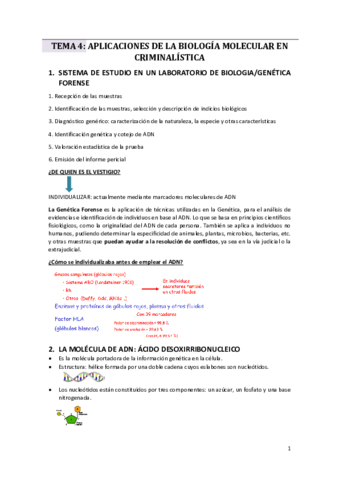 TEMA-4.pdf