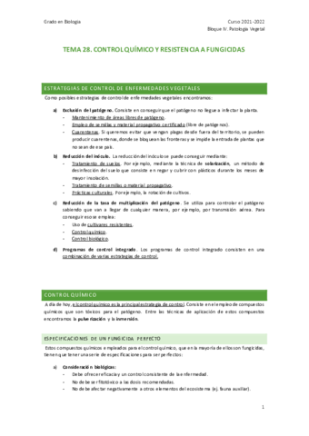 TEMA-28.pdf