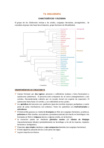 T2-Chelicerata.pdf