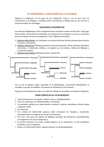 T4-Myriapoda.pdf