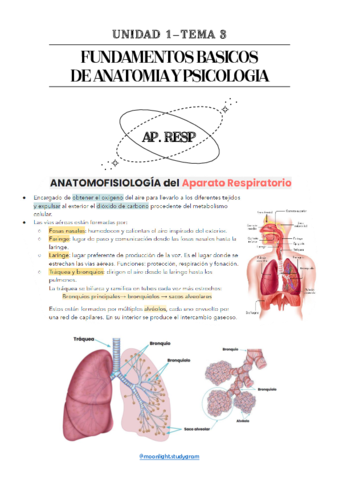 TEMA-3-ANATOMIABASICA.pdf