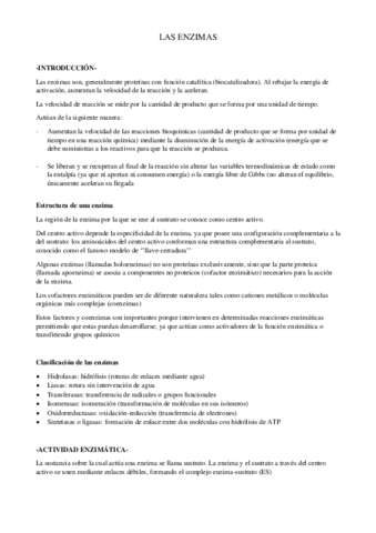 LAS-ENZIMAS-pdf.pdf
