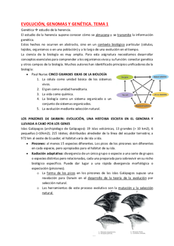 TEMaa-1.pdf