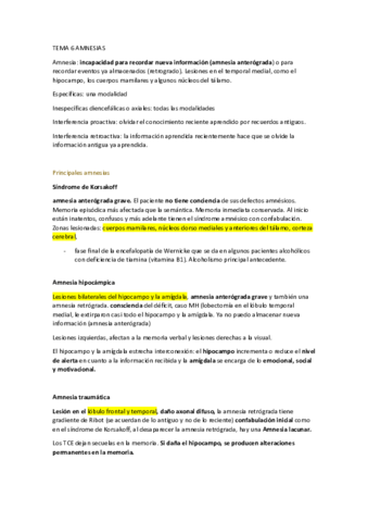 TEMA-6-AMNESIAS-RESUMEN.pdf