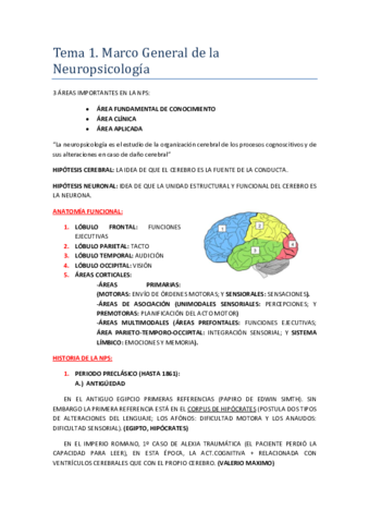 T1-resumen.pdf