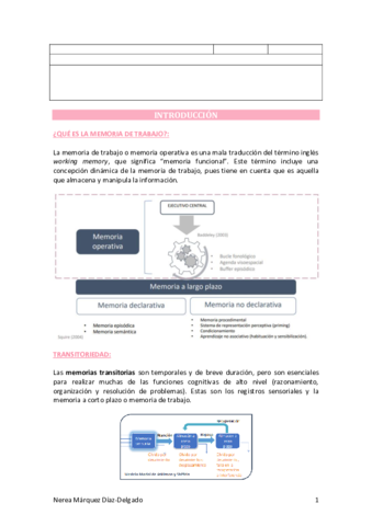 Tema-5-Sistemas-de-manipulacion-temporal-de-la-informacion.pdf