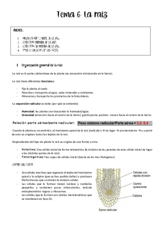 tema-6-vegetal.pdf