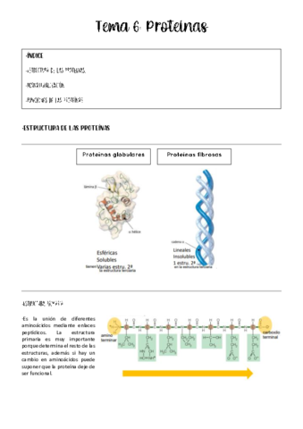tema-6-bioquimica.pdf