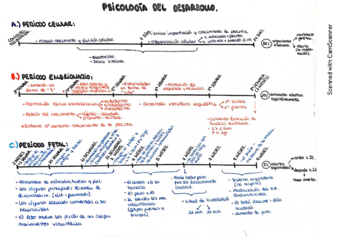 Esquema-desarrollo-prenatal.pdf