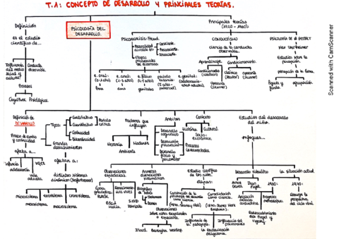 mapa-conceptual-t.pdf