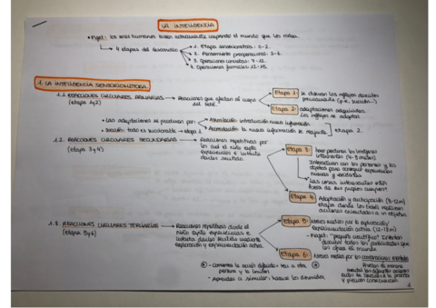 La-inteligencia-.pdf
