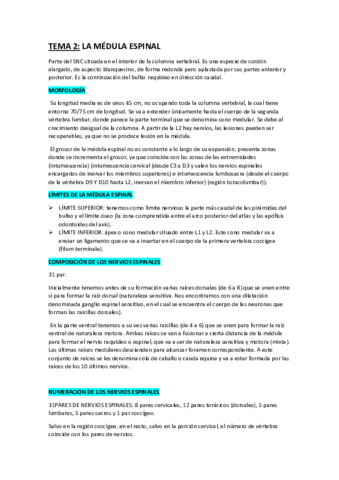 TEMA2-NEUROANATOMIA.pdf