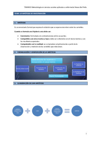 TEMA-HIPOTESIS.pdf