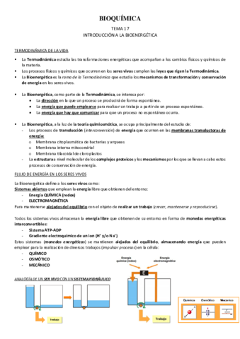 TEMARIO-BIOQUIMICA-Todo.pdf