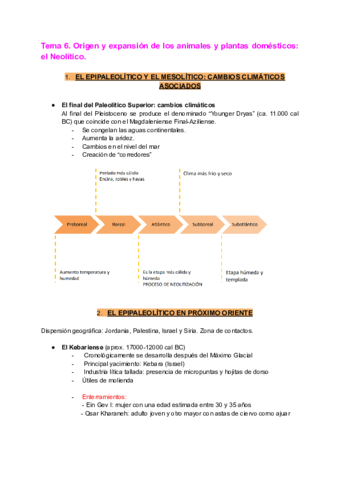 Tema-6.pdf