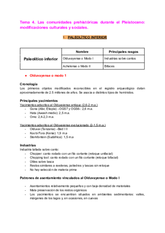 Tema-4.pdf