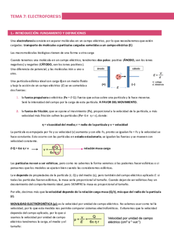 TEMA-7-METODOS.pdf