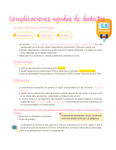 DKA-Y-HHS.pdf