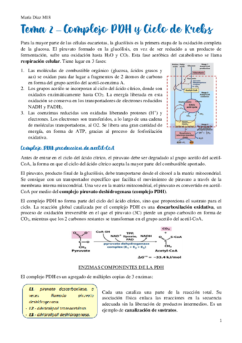 t2.pdf