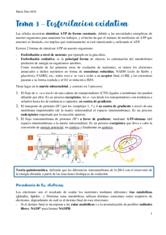 t3.pdf