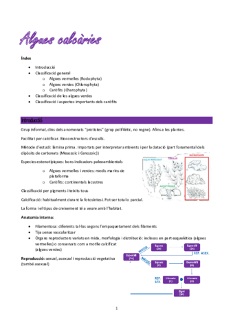 Algues-calcaries-Graptolits-Briozous.pdf