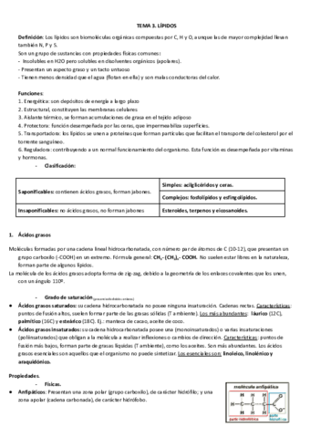 TEMA-3-lipidos.pdf