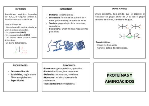 Cuadro-resumen-proteinas-.pdf