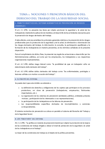 Tema-1.pdf