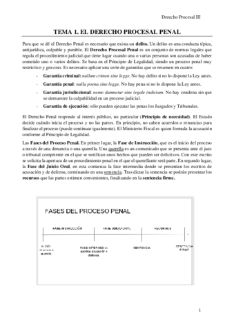 Procesal.pdf