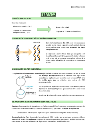 TEMA-12-Genetica-molecular-I-replicacion-y-transcripcion-del-ADN.pdf