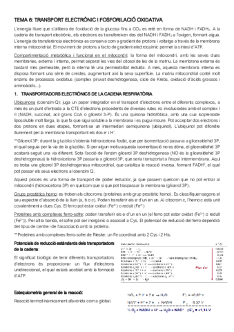 PARCIAL-2-BSM.pdf