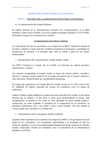 APE1-el-real.pdf