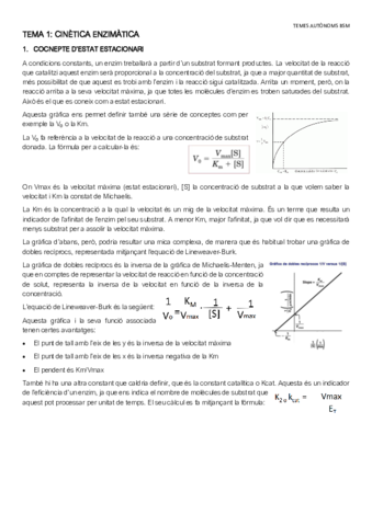 TEMES-AUTONOMS-BSM.pdf