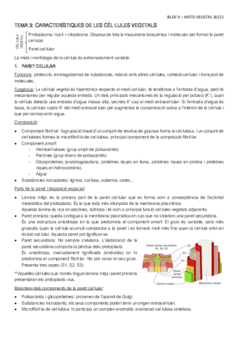 BLOC-II-HISTOLOGIA-VEGETAL.pdf