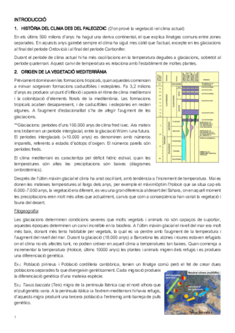 2n-Parcial-ACV-.pdf