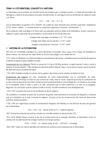 segon-parcial-nmv.pdf