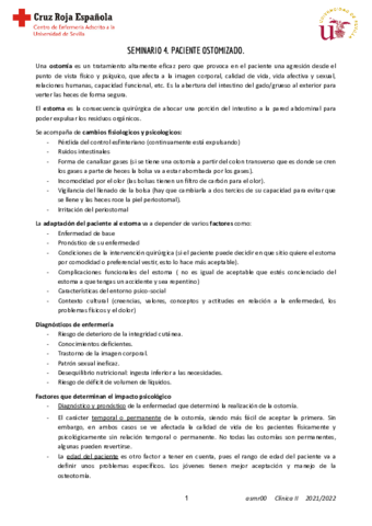 Seminario-4-Clinica-II.pdf