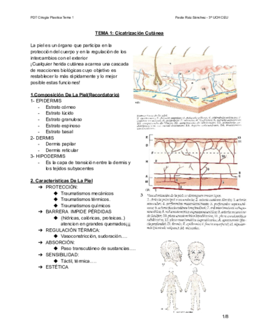 TEMA-1-PDT-PLASTICA-CICATRIZACION.pdf