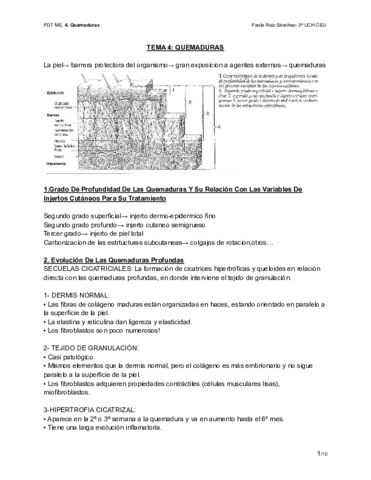 TEMA-4-QUEMADURAS.pdf