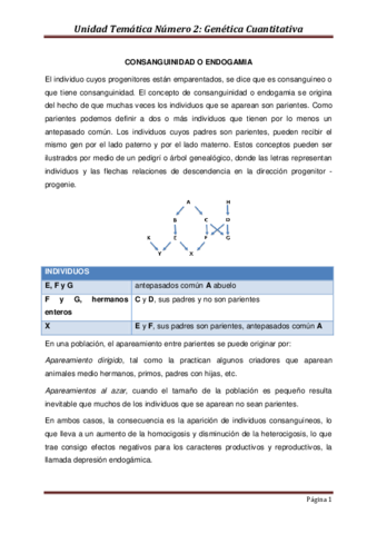 ENDOGAMA.pdf