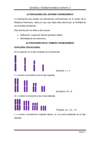 CITOGENETICA-PARTE-II.pdf