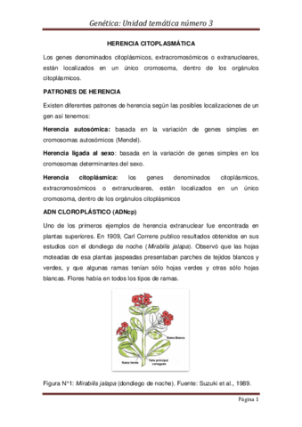 HERENCIA-CITOPLASMATICA.pdf